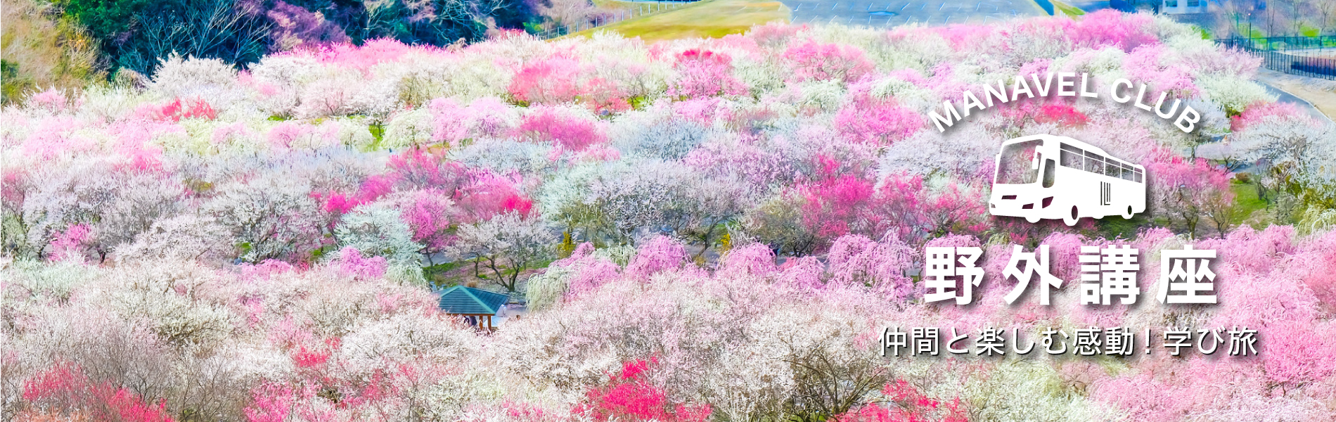 マナベル倶楽部