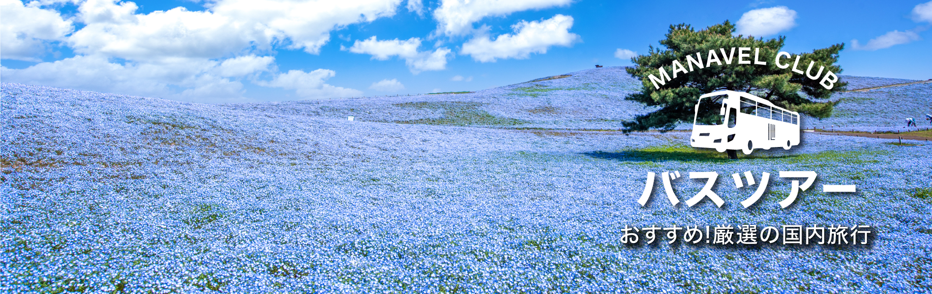 マナベル倶楽部