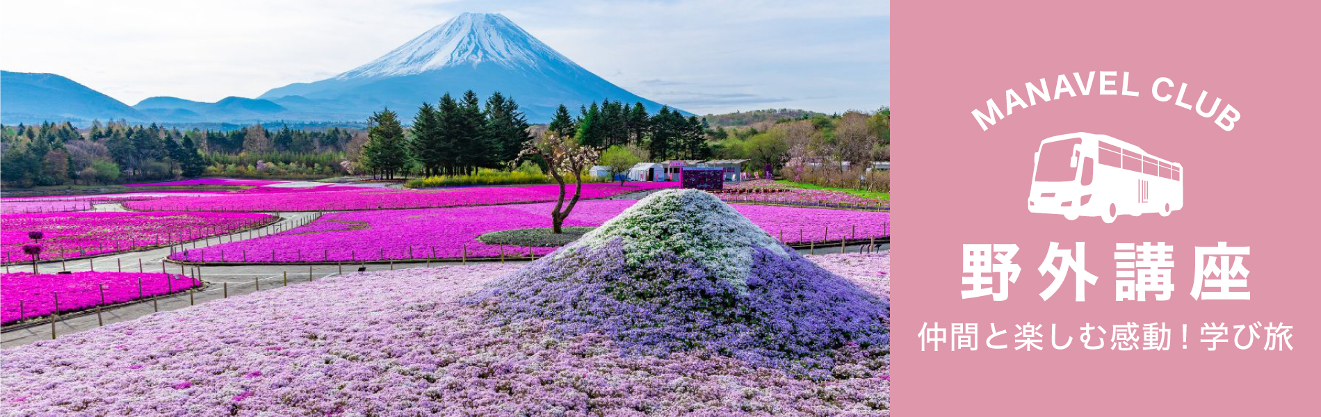 マナベル倶楽部